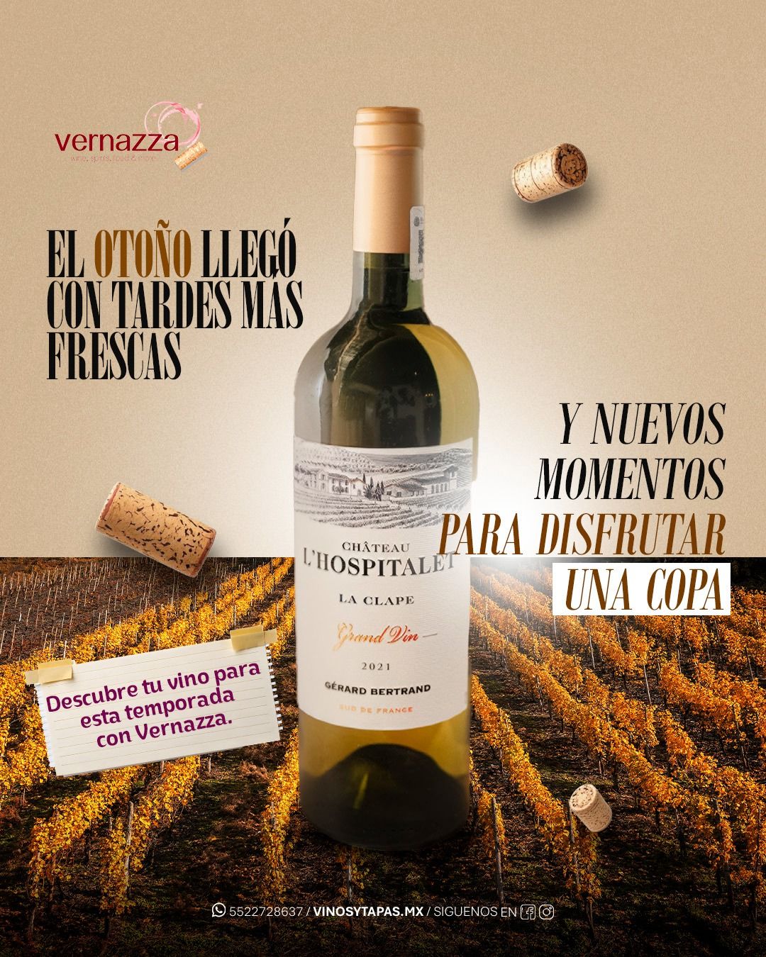 ✨🍷 Las tardes de otoño se disfrutan mejor con un buen vino.

Viaja con una copa. Escríbenos y conoce nuestro catálogo de vinos.🔝👇

Encuentra los mejores vinos en nuestro sitio web www.vinosytapas.mx 🤩 y ¡Ven a disfrutarlos a @manarolawine 
📲¿Quieres realizar un pedido? Comunícate —> 55 227 28 637⁣
📦 Contamos con entregas de 24 a 48 hrs en CDMX

#vernazzavinos #vinotinto #vinoespumoso #vinosInternacionales #cdmx