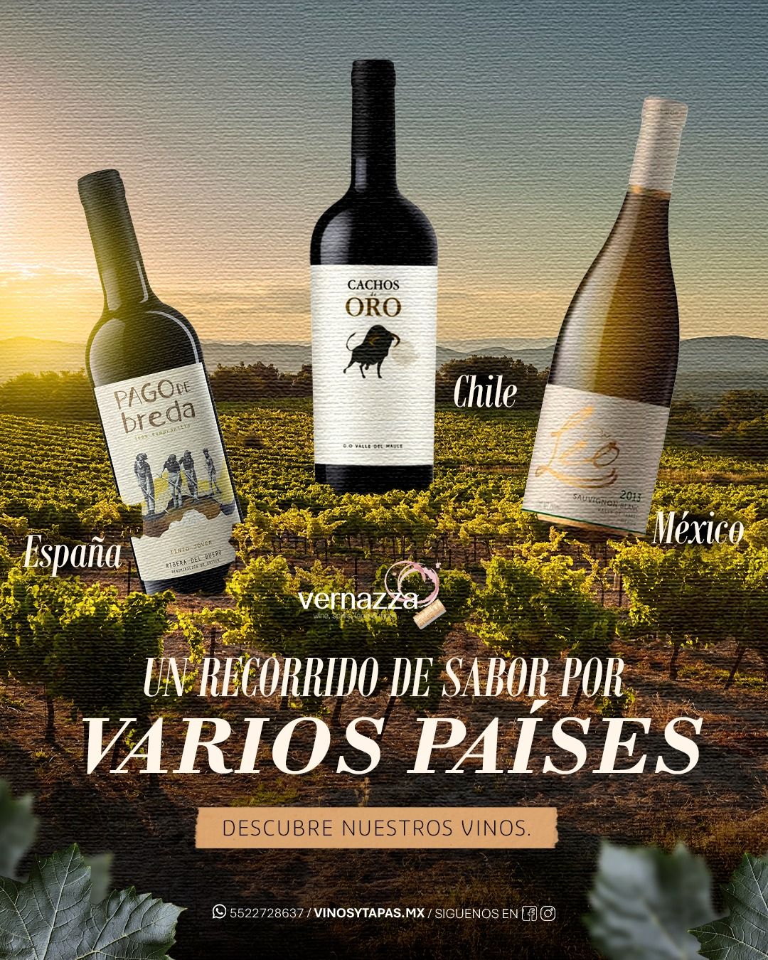 Chile, México y España: tres destinos para descubrir nuevos favoritos. 🍷🇨🇱🇲🇽

Explora nuestra selección de vinos y encuentra etiquetas ideales para cada ocasión, desde una cena especial hasta una tarde entre amigos.👇🔝

Encuentra los mejores vinos en nuestro sitio web www.vinosytapas.mx 🤩 y ¡Ven a disfrutarlos a @manarolawine 
📲¿Quieres realizar un pedido? Comunícate —> 55 227 28 637⁣
📦 Contamos con entregas de 24 a 48 hrs en CDMX

#vernazzavinos #vinotinto #vinoespumoso #vinosInternacionales #cdmx  #vinoblanco #vinoespumosoblanco