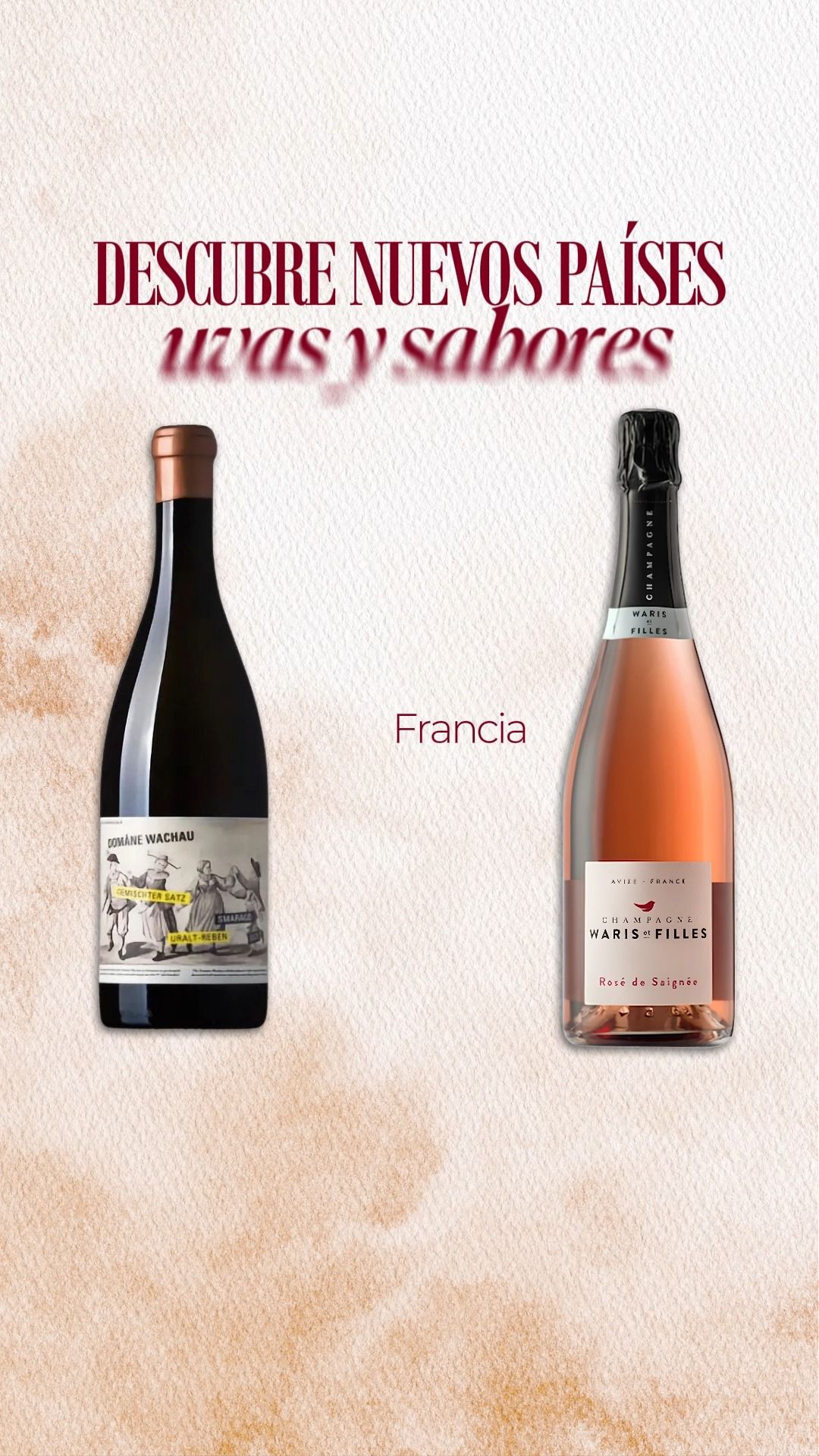 🌍🍷 Austria, Alemania, Francia e Italia: cuatro destinos para descubrir a través del vino.

Explora nuevas uvas, aromas y etiquetas sin salir de casa. En Vernazza tenemos una botella para tu próximo recorrido.

Encuentra los mejores vinos en nuestro sitio web www.vinosytapas.mx 🤩 y ¡Ven a disfrutarlos a @manarolawine 
📲¿Quieres realizar un pedido? Comunícate —> 55 227 28 637⁣
📦 Contamos con entregas de 24 a 48 hrs en CDMX

#vernazzavinos #vinotinto #vinoespumoso #vinosInternacionales #cdmx  #vinoblanco #vinoespumosoblanco