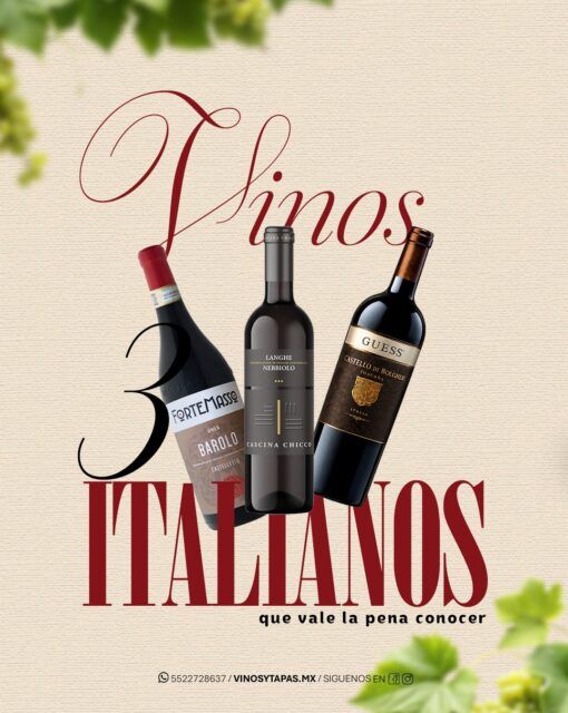Italia tiene mucho por descubrir, y el vino es una excelente forma de empezar. 🇮🇹🍷

Descubre nuestra selección de vinos italianos y encuentra tu próxima botella favorita. Escríbenos para conocer el catálogo. 🍇👇

Encuentra los mejores vinos en nuestro sitio web www.vinosytapas.mx 🤩 y ¡Ven a disfrutarlos a @manarolawine 
📲¿Quieres realizar un pedido? Comunícate —> 55 227 28 637⁣
📦 Contamos con entregas de 24 a 48 hrs en CDMX

#vernazzavinos #vinotinto #vinoespumoso #vinosInternacionales #cdmx  #vinoblanco #vinoespumosoblanco